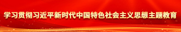 干逼捅逼网学习贯彻习近平新时代中国特色社会主义思想主题教育